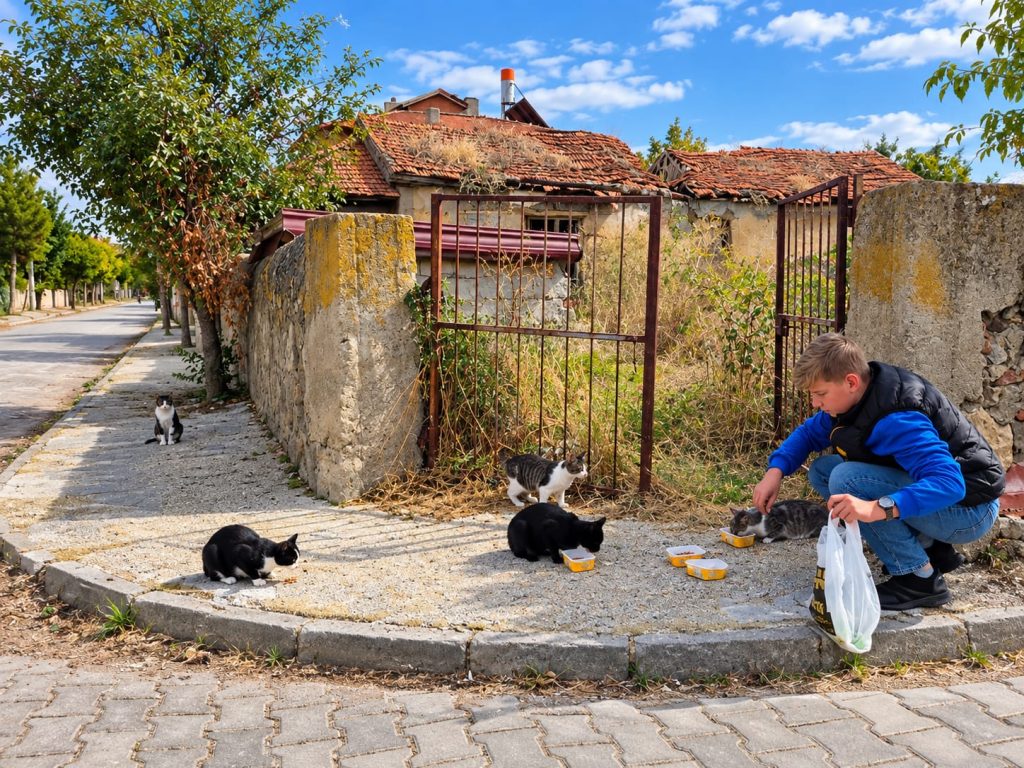 Kenan voert de zwerfkatten in Şuhut